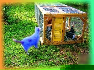 Plan design chicken coop hen house rabbit hutch tractor