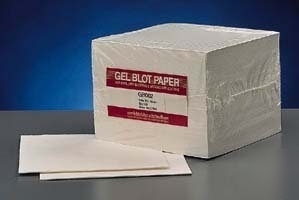 Whatman gel blotting papers, whatman 10427826 grade