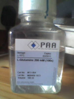 L-glutamine 200MM (100X) 100ML paa cell culture company