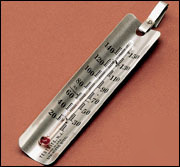 Wolf x-ray stainless steel thermometer for
