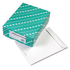 Park ridge catalog envelopes, 10 X13 , 100/box QUA41630