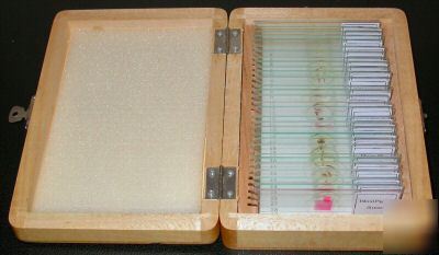 New box of 30 prepared zoological microscope slides 