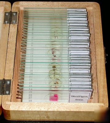 New box of 30 prepared zoological microscope slides 
