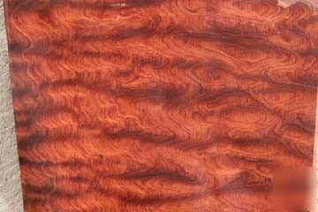 Xf waterfall figure bubinga veneer ~ 025 exotic wood ..